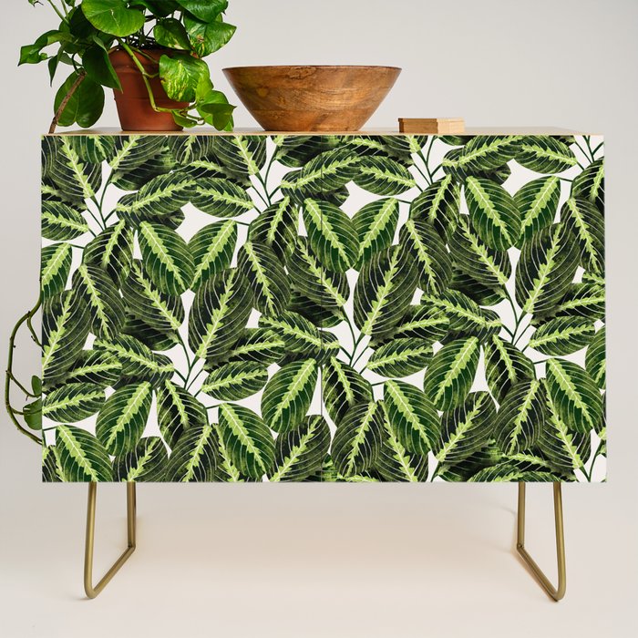 Maranta Lemon lime interior Plant Credenza Gallery Image 1