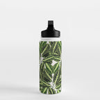 Maranta Lemon lime interior Plant Water Bottle Gallery Image 3