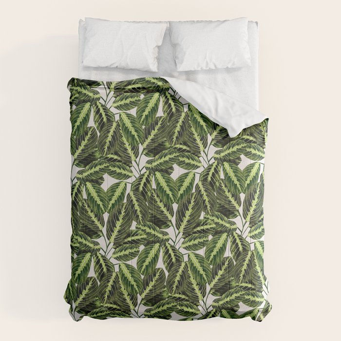 Maranta Lemon lime interior Plant Comforter Gallery Image 1