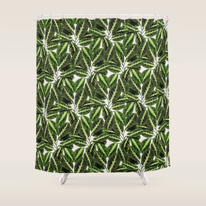 Maranta Lemon lime interior Plant Shower Curtain Gallery Image 1