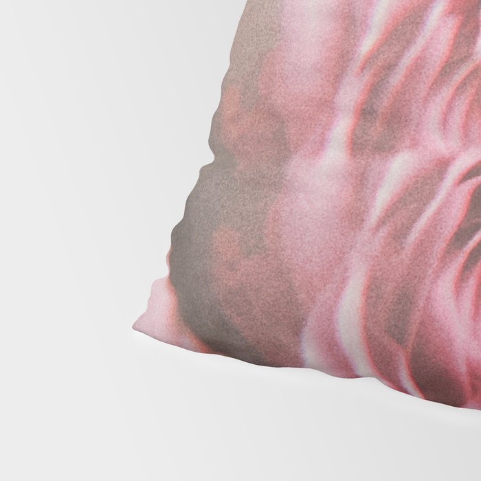 Driftin' on a Memory Pillow Sham Gallery Image 4