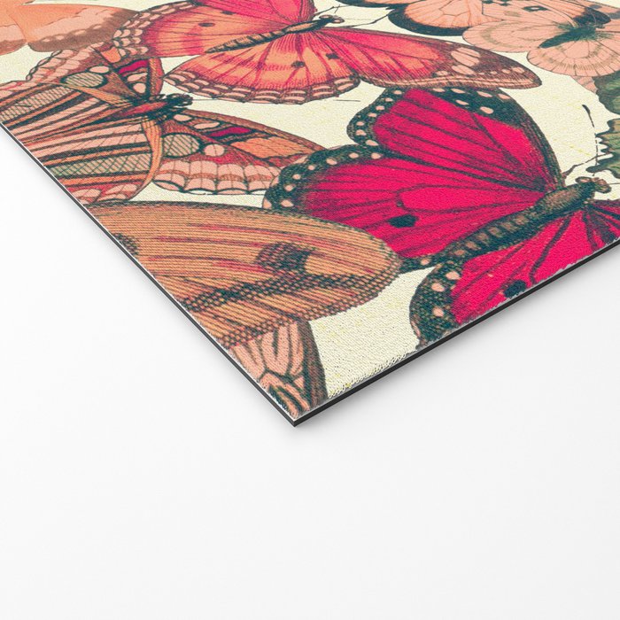 Butterfly Box Welcome Mat Gallery Image 2