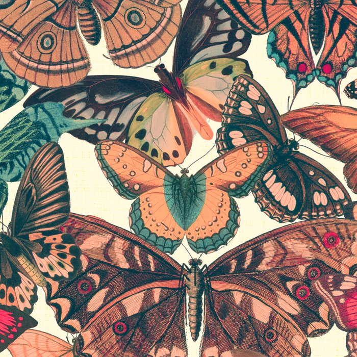Butterfly Box Coffee Mug Gallery Image 2