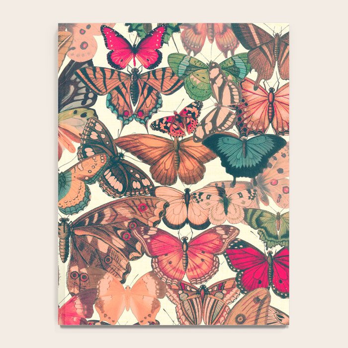 Butterfly Box Notebook Gallery Image 4