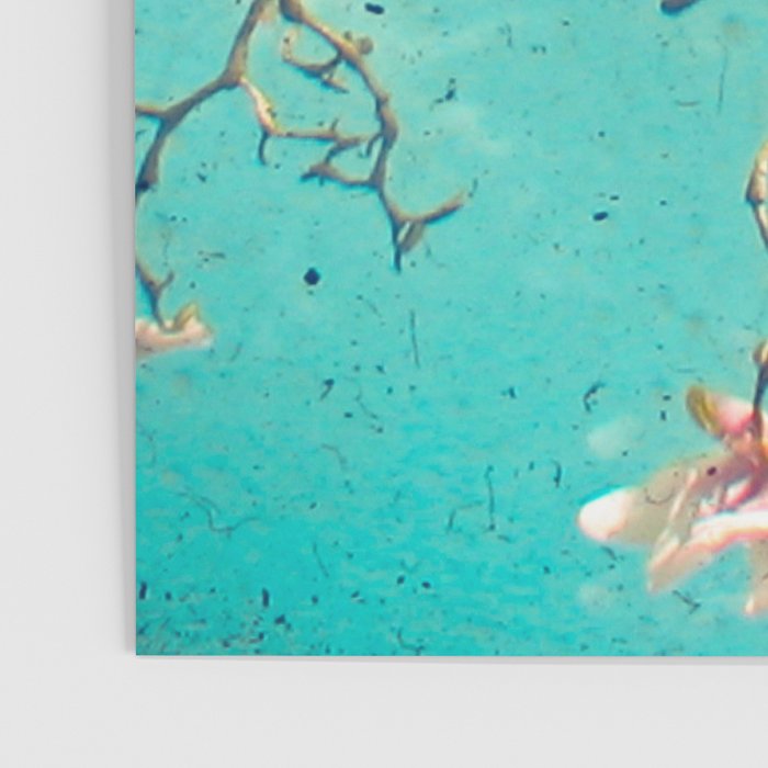 The Hanging Garden Poster Gallery Image 3