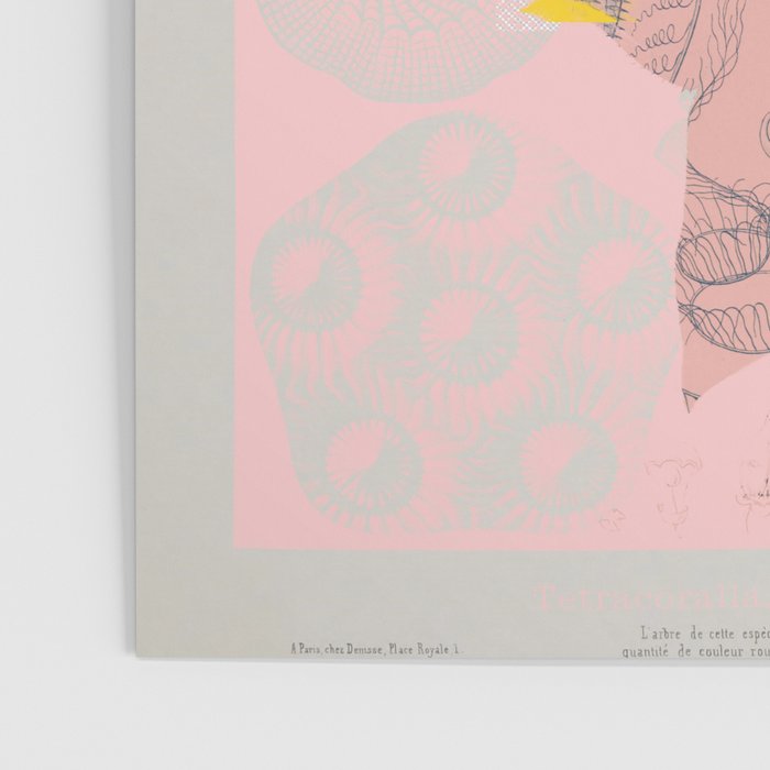 the first plant · tuesday mix mit resten Poster Gallery Image 3