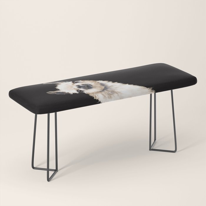 Sneaky Llama in Black Bench Gallery Image 1