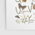 Woodland forest alphabet Poster Gallery Image 3