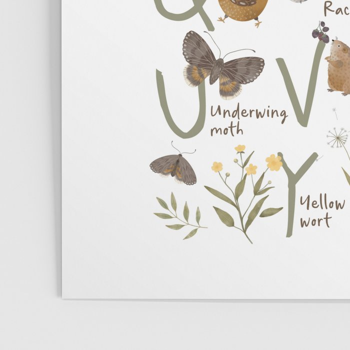 Woodland forest alphabet Poster Gallery Image 3