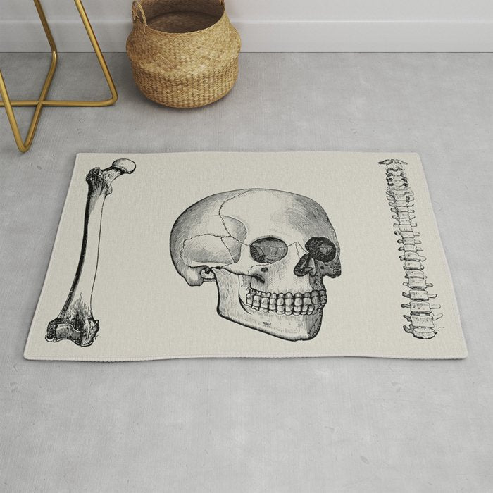 Illustrated and priced catalogue of superior surgical instruments Skull Sapine Ink Illustration Rug Gallery Image 1