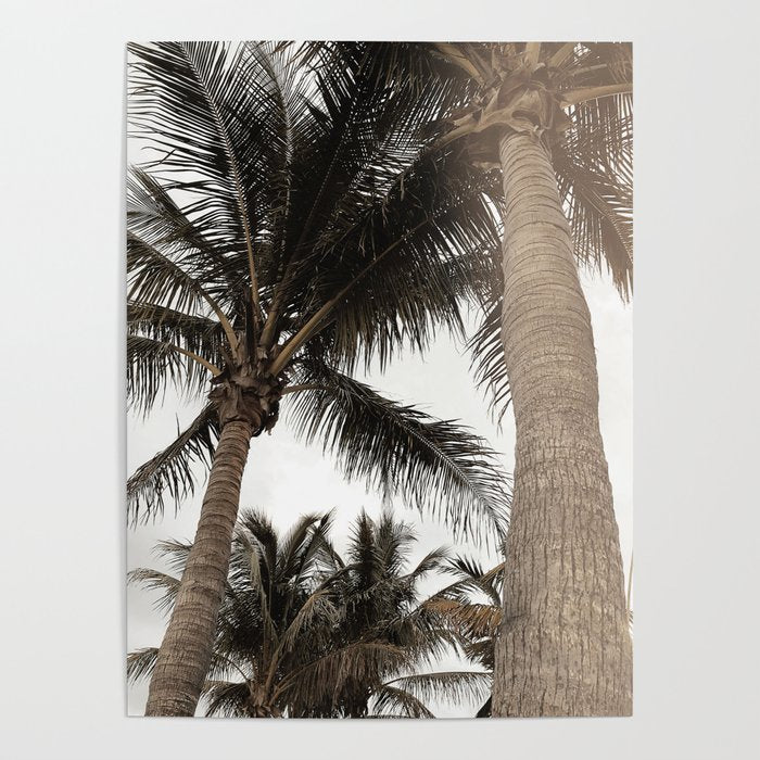 Tropical Breeze and Palm Trees Poster Gallery Image 1