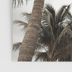 Tropical Breeze and Palm Trees Poster Gallery Image 3