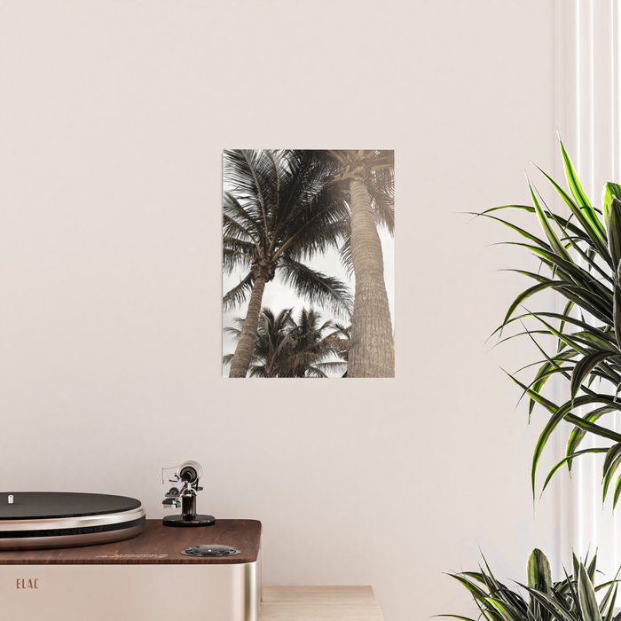 Tropical Breeze and Palm Trees Poster Gallery Image 2