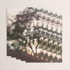Light Through Autumn Trees Wrapping Paper Gallery Image 3