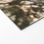 Light Through Autumn Trees Welcome Mat Gallery Image 2