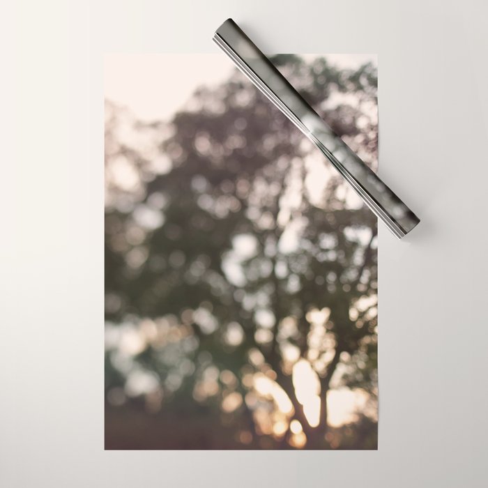 Light Through Autumn Trees Wrapping Paper Gallery Image 1