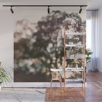 Light Through Autumn Trees Wall Mural Gallery Image 1