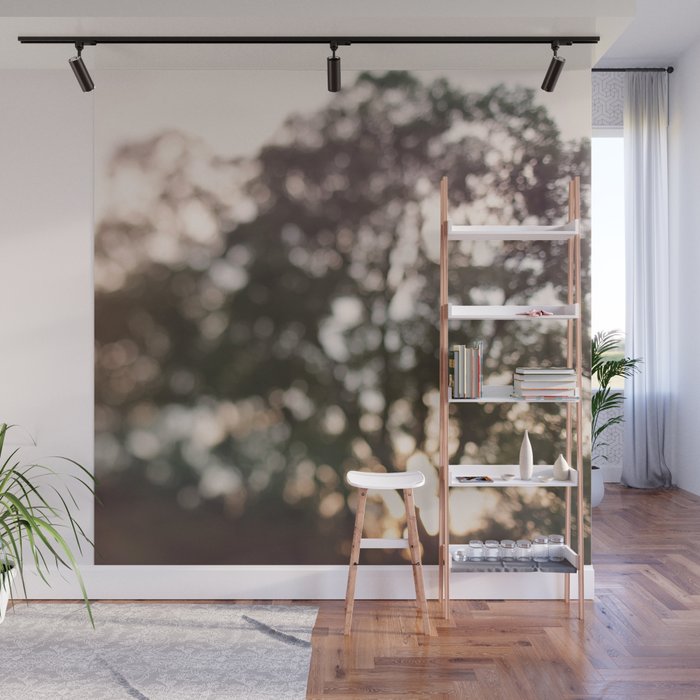 Light Through Autumn Trees Wall Mural Gallery Image 1
