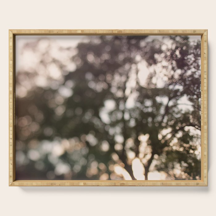 Light Through Autumn Trees Serving Tray Gallery Image 1