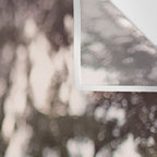 Light Through Autumn Trees Wall Tapestry Gallery Image 3