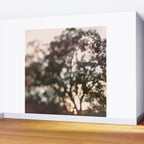 Light Through Autumn Trees Wall Mural Gallery Image 2