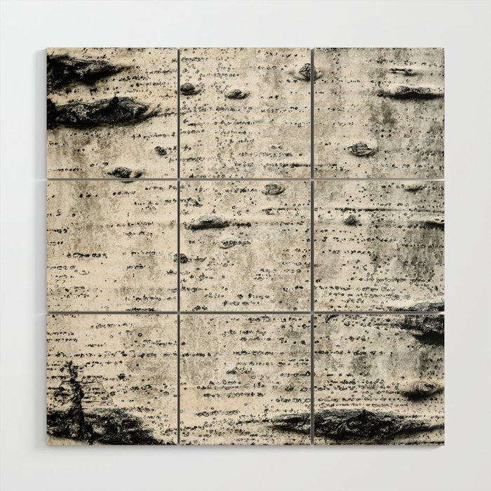 Aspen Tree Grand Teton National Park Wood Wall Art Gallery Image 1