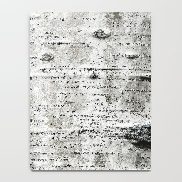 Aspen Tree Grand Teton National Park Notebook Gallery Image 4