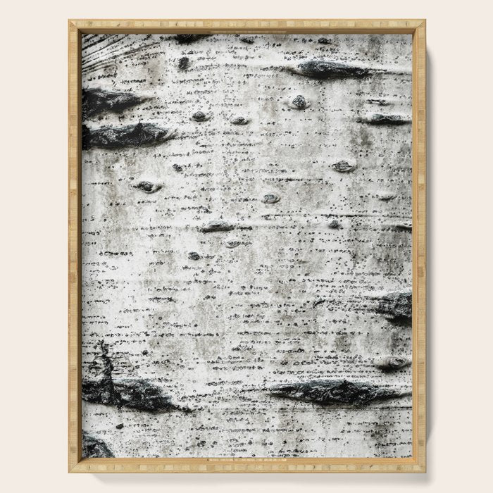 Aspen Tree Grand Teton National Park Serving Tray Gallery Image 1