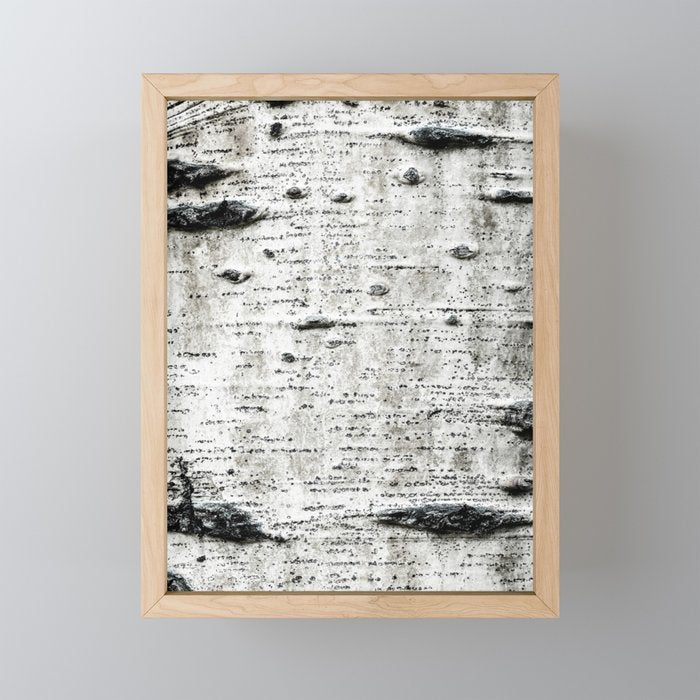 Aspen Tree Grand Teton National Park Mini Art Print Gallery Image 1