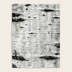 Aspen Tree Grand Teton National Park Poster Gallery Image 4
