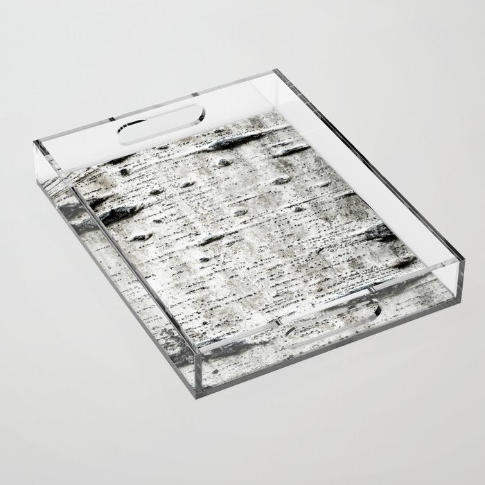 Aspen Tree Grand Teton National Park Acrylic Tray Gallery Image 1