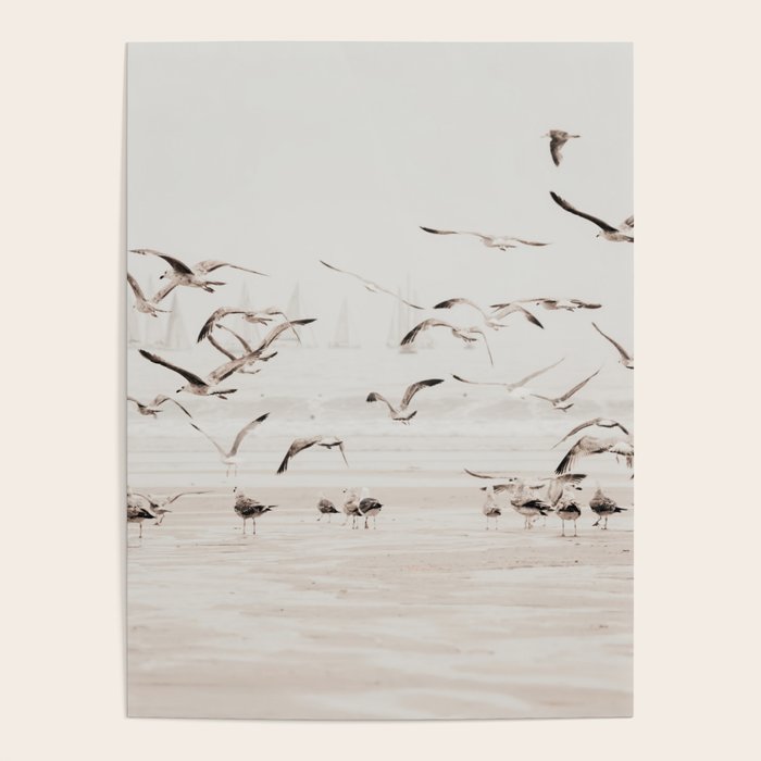 Sail Boats and Seagulls - Beach - Ocean Travel photography Poster Gallery Image 4