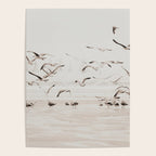 Sail Boats and Seagulls - Beach - Ocean Travel photography Poster Gallery Image 4
