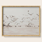 Sail Boats and Seagulls - Beach - Ocean Travel photography Serving Tray Gallery Image 1