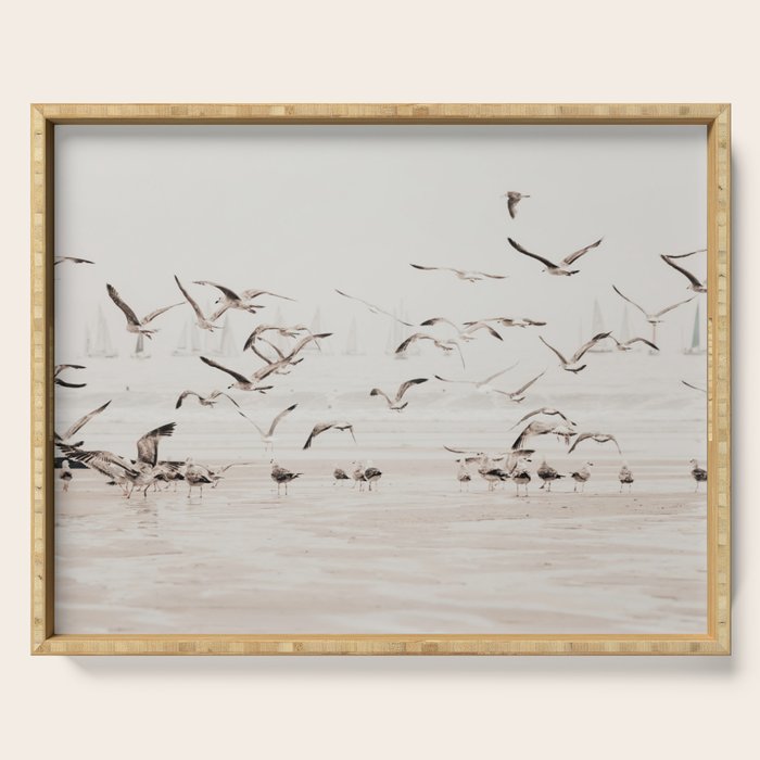Sail Boats and Seagulls - Beach - Ocean Travel photography Serving Tray Gallery Image 1