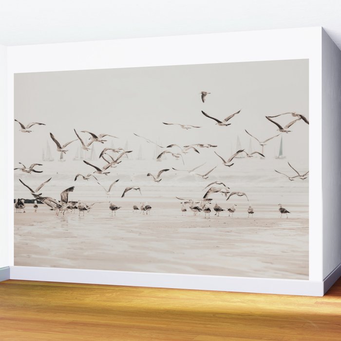 Sail Boats and Seagulls - Beach - Ocean Travel photography Wall Mural Gallery Image 2