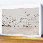 Sail Boats and Seagulls - Beach - Ocean Travel photography Wall Mural Gallery Image 2
