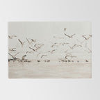 Sail Boats and Seagulls - Beach - Ocean Travel photography Rug Gallery Image 2