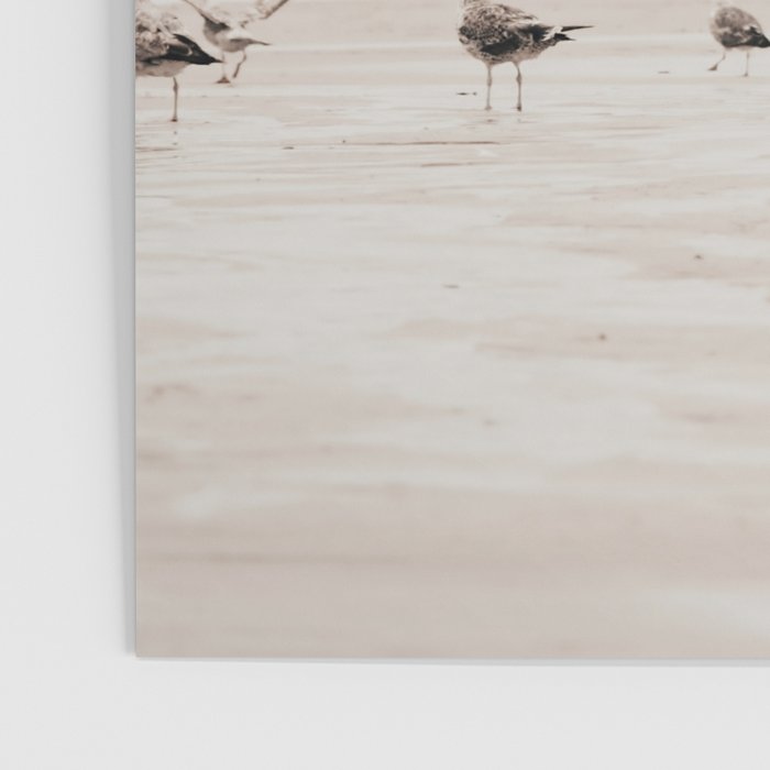 Sail Boats and Seagulls - Beach - Ocean Travel photography Poster Gallery Image 3
