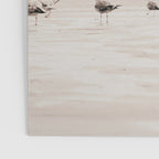 Sail Boats and Seagulls - Beach - Ocean Travel photography Poster Gallery Image 3