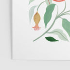 Pomegranate Poster Gallery Image 3