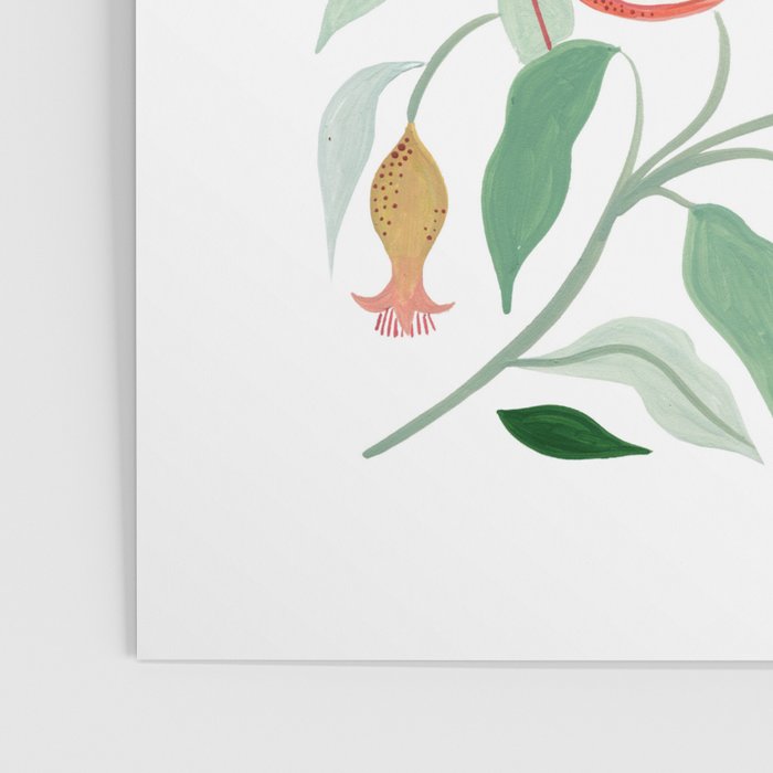 Pomegranate Poster Gallery Image 3