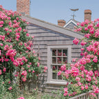 Nantucket Sankaty Lighthouse  Coffee Mug Gallery Image 2