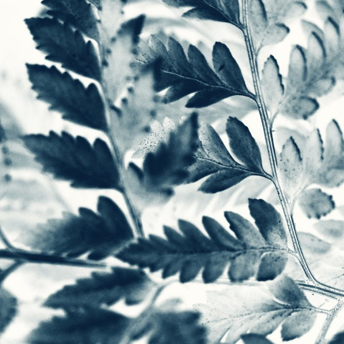 Modern Botanical Print - Blue Fern #2 Coffee Mug Gallery Image 2