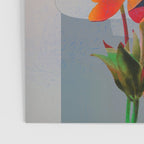 Garden Flowers  Poster Gallery Image 3