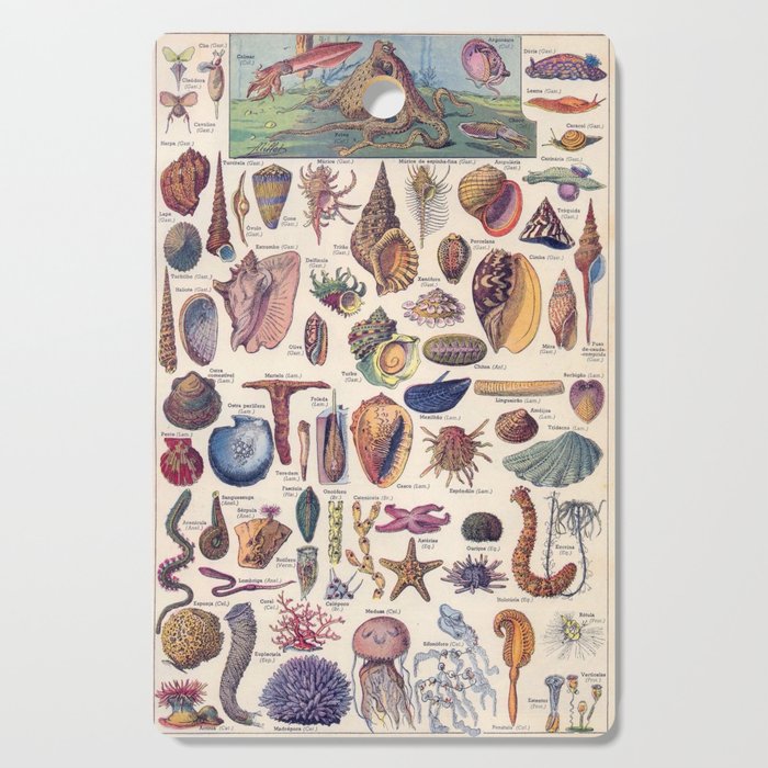 Adolphe Millot Mollusques Larousse Vintage Scientific Encyclopedia Illustration Lithograph Ocean  Cutting Board Gallery Image 1
