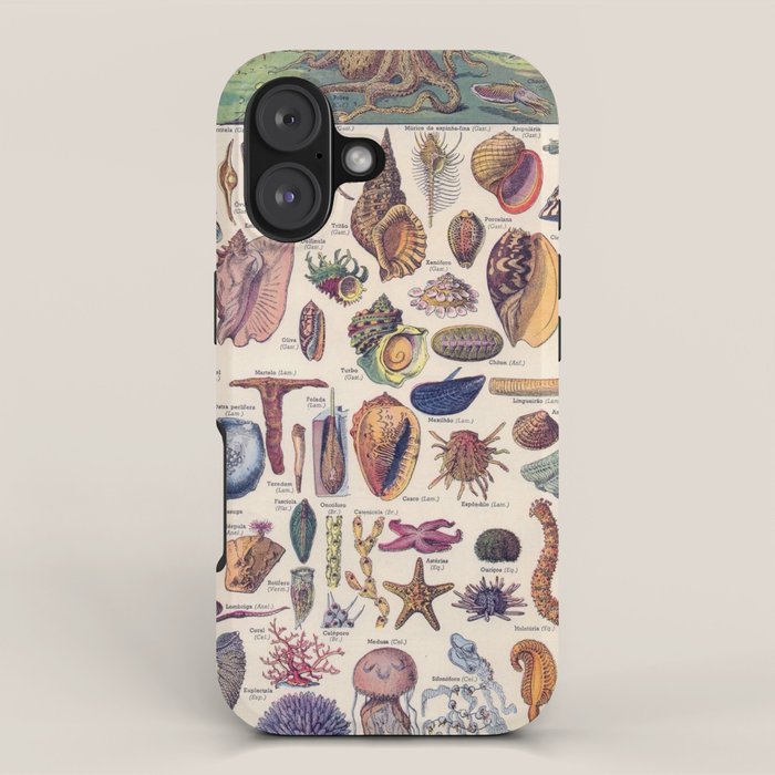 Adolphe Millot Mollusques Larousse Vintage Scientific Encyclopedia Illustration Lithograph Ocean  iPhone Case Gallery Image 1