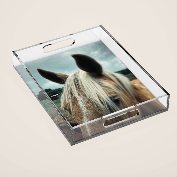 Talulah Acrylic Tray Gallery Image 1