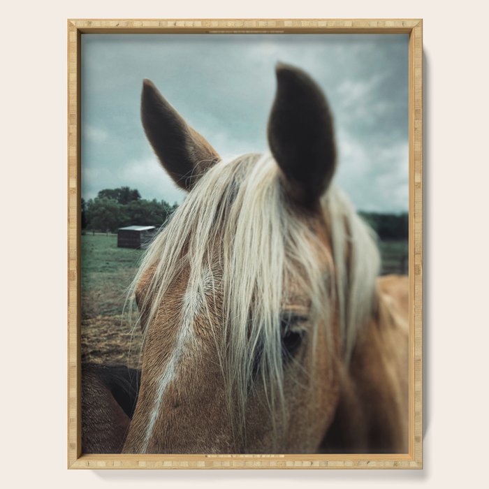 Talulah Serving Tray Gallery Image 1