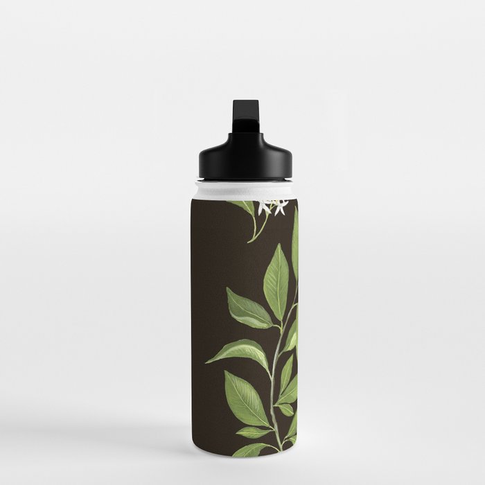 Seville Orange Water Bottle Gallery Image 3